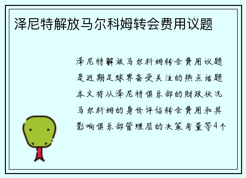 泽尼特解放马尔科姆转会费用议题